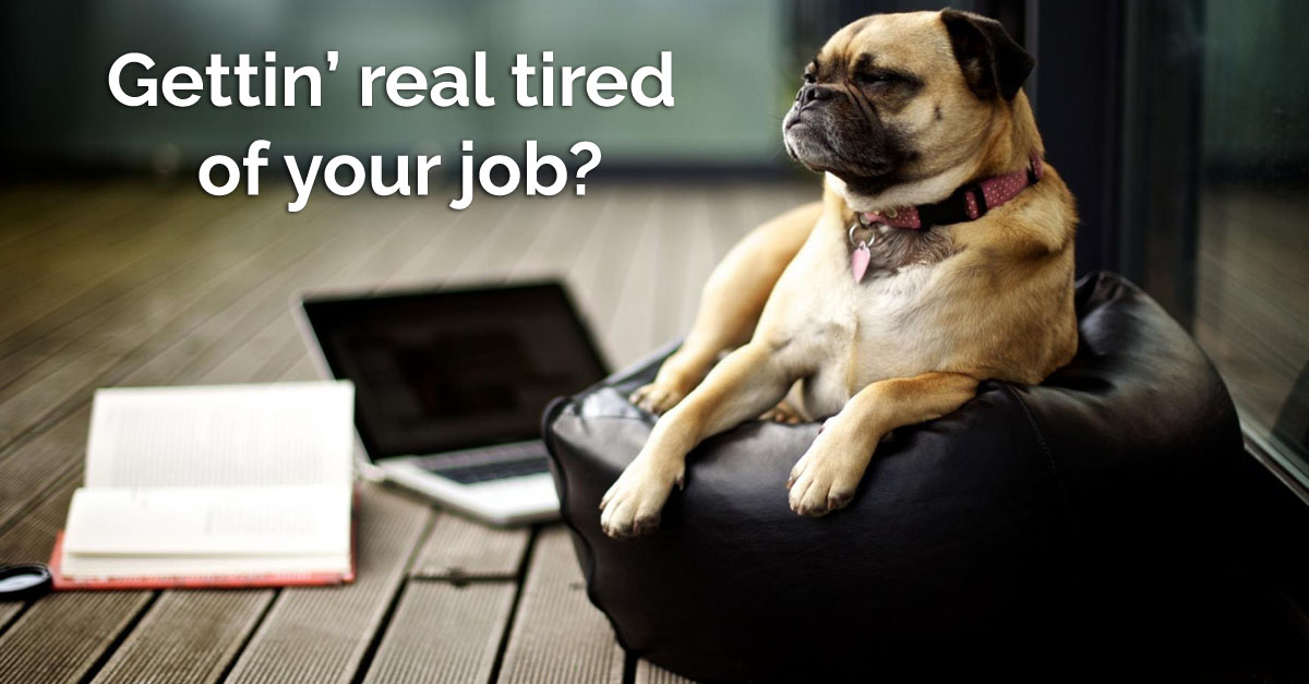 Startup You're tired of your job and got a startup idea. Now what?