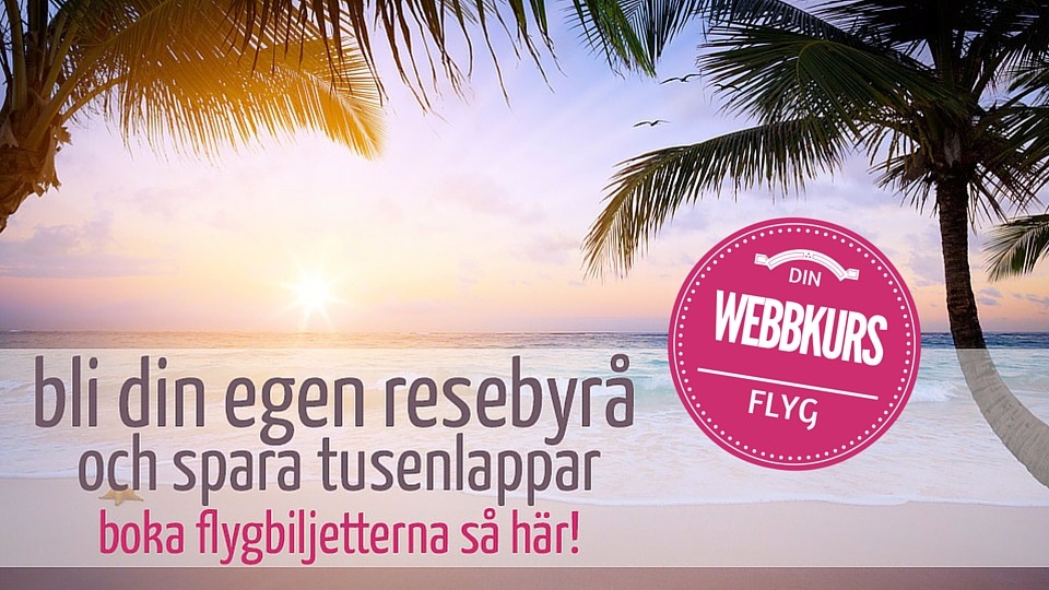 Product image for Bli din egen resebyrå och spara tusenlappar - flyg