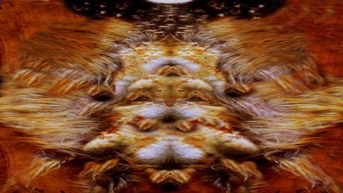 Product image for Interstitial Fiction Genres
