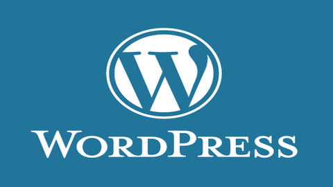 Product image for Wordpress Development - Bundle