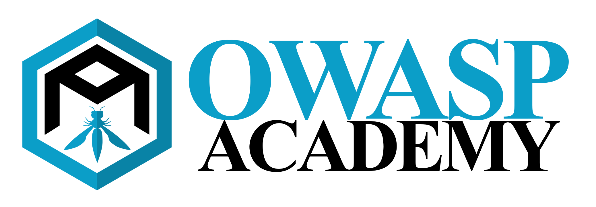 owasp