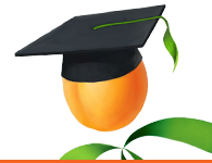 Wild Apricot