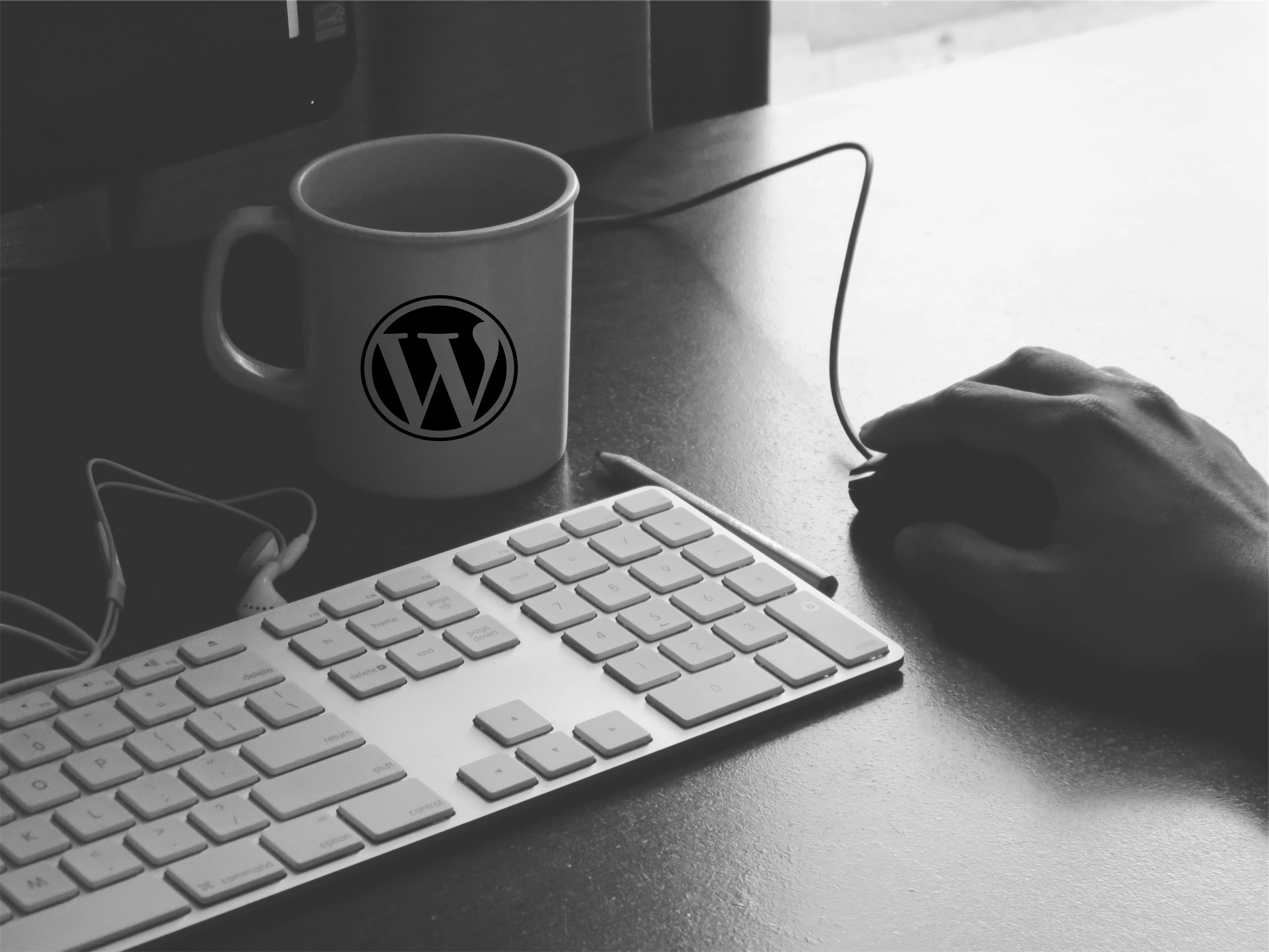 Product image for Learn How To Use WordPress 4 in Easy Steps