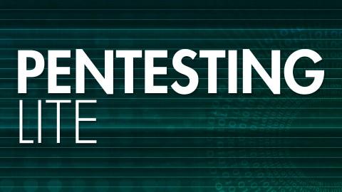 Product image for Pentesting with BackTrack: Lite version