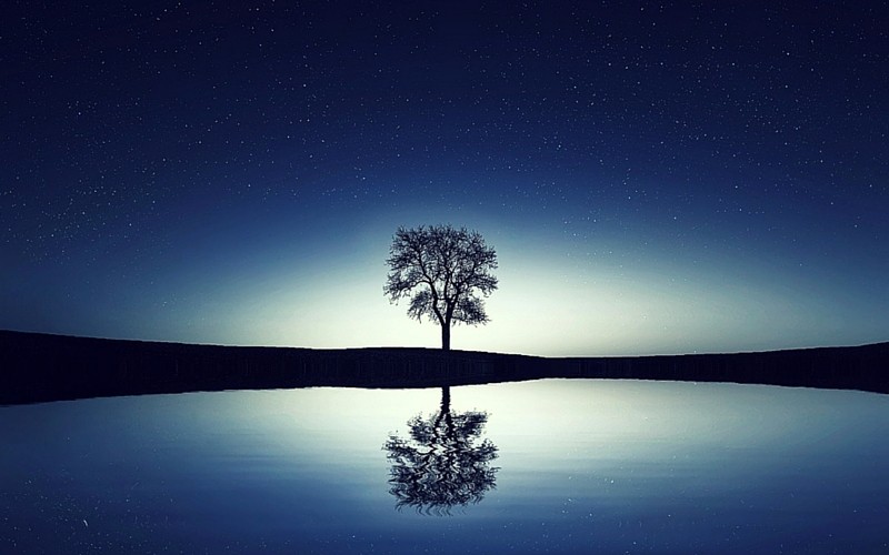 Product image for How to Transform Your BodyMind Connection